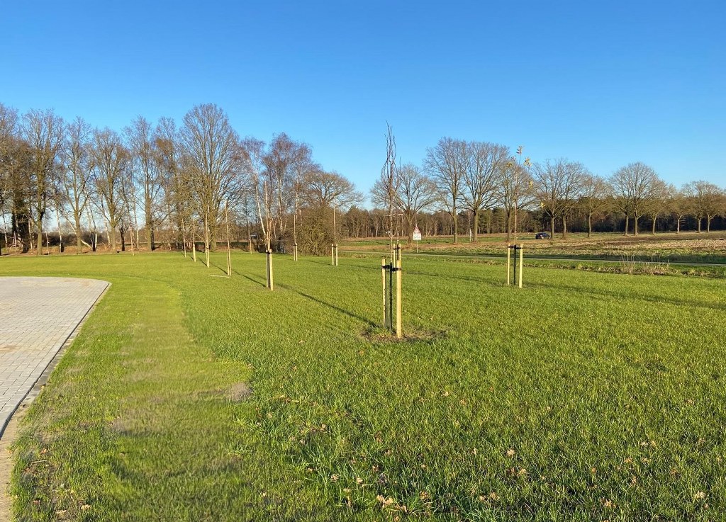 Streekeigen landschap 1